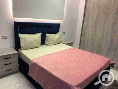 2 Bedroom Flat for Rent in Nasr City, Cairo - 1000580188. jpg