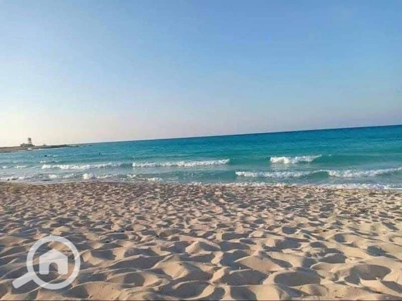 11 WhatsApp Image 2025-08-11 at 4.07. 41 PM (4). jpeg