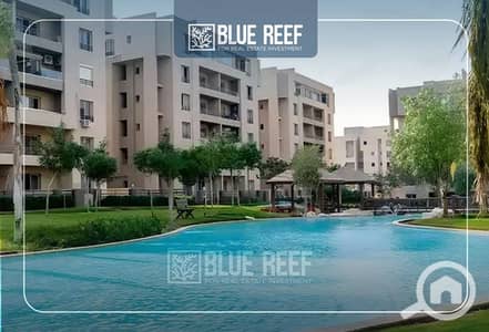 شقة 4 غرف نوم للبيع في القاهرة الجديدة، القاهرة - rgrga. jpg شقة 4 غرف نوم للبيع في القاهرة الجديدة، القاهرة - rgrga. jpg