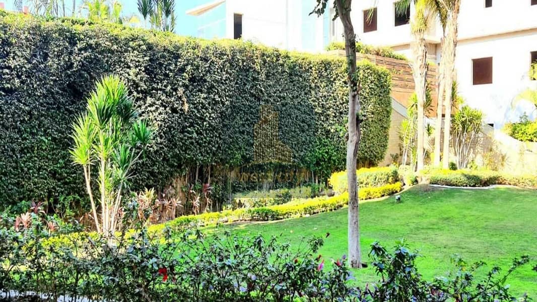 8 fbb6c1b1-280d-4a7b-9633-e56de3d3c41f. jpg