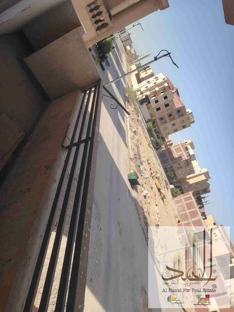 2 1000883387. jpg