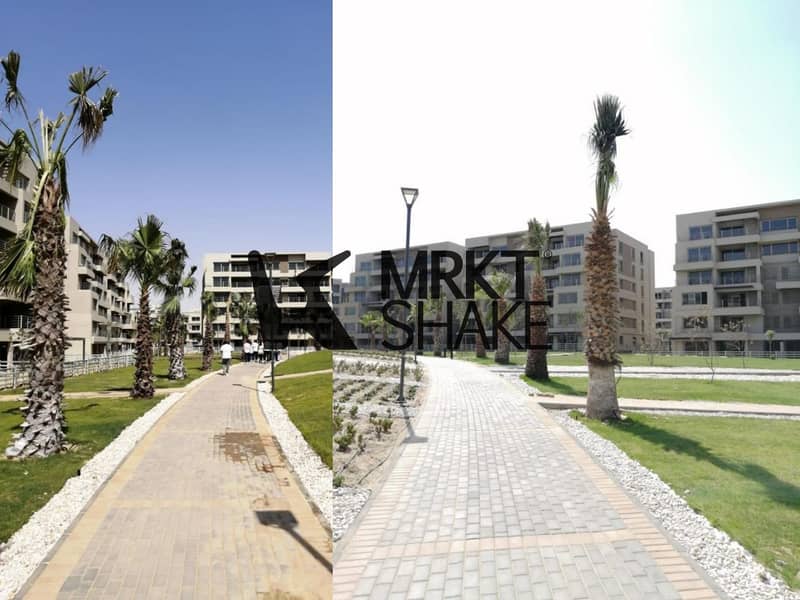 8 Capital Gardens Live Pictures (1)_page-0006. jpg