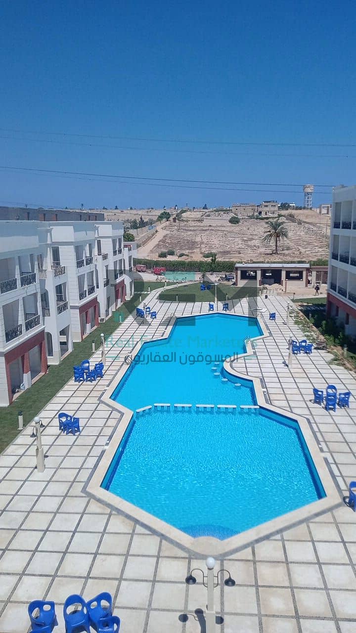11 WhatsApp Image 2025-04-05 at 03.47. 52_b0bd0e5b. jpg