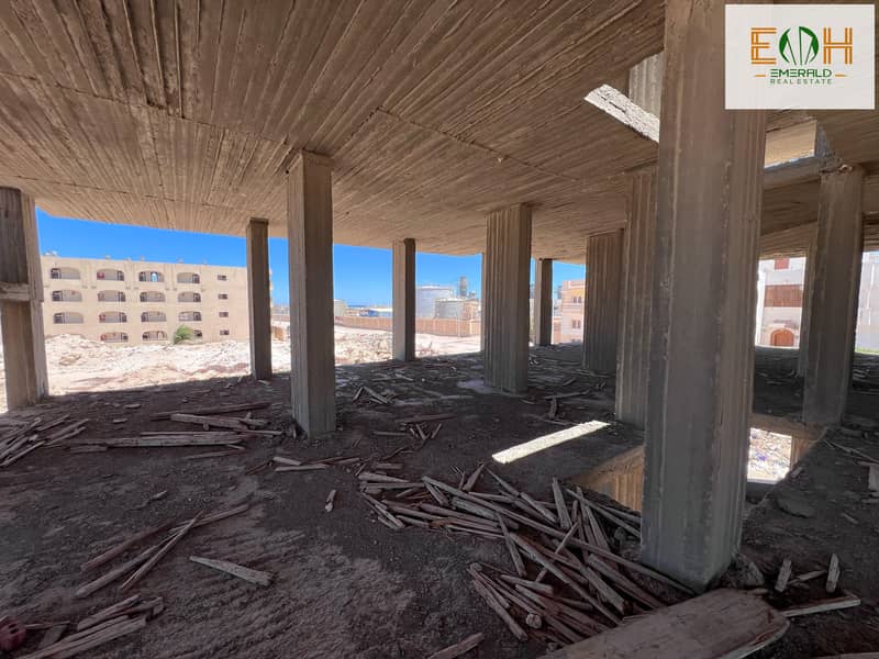 12 WhatsApp Image 2025-06-01 at 18.16. 49. jpeg