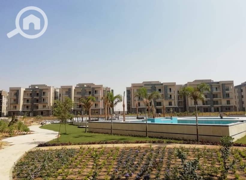 6 IMG_٢٠٢٢١٠١٣_١٦١٩٤٢ - Copy - Copy. jpg