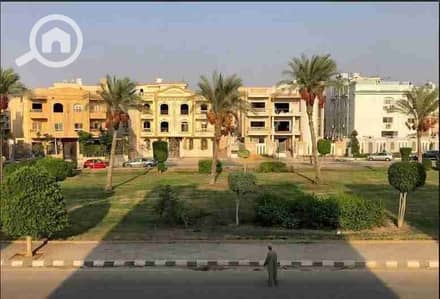 فلیٹ 3 غرف نوم للايجار في القاهرة الجديدة، القاهرة - 31059. jpg