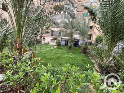 Office for Rent in Smoha, Alexandria - e3cbb38b-20b3-4a68-ba68-6fc887fe9fe5. jpg