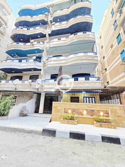 فلیٹ 2 غرفة نوم للبيع في النخيل، الإسكندرية - 1000433201. jpg