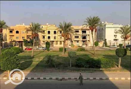 فلیٹ 3 غرف نوم للايجار في القاهرة الجديدة، القاهرة - 31059. jpg