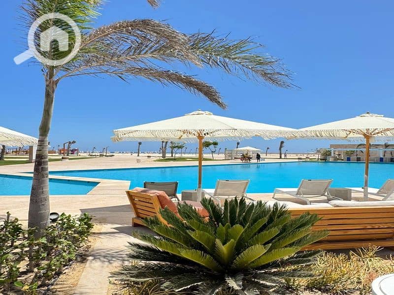 2 77b3bb20-ce96-4d7a-95cd-f0f2a3e116c2. jpg