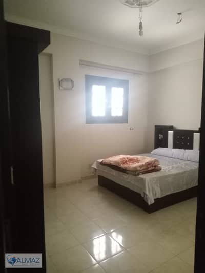فلیٹ 3 غرف نوم للايجار في القاهرة الجديدة، القاهرة - IMG-20250904-WA0199. jpg