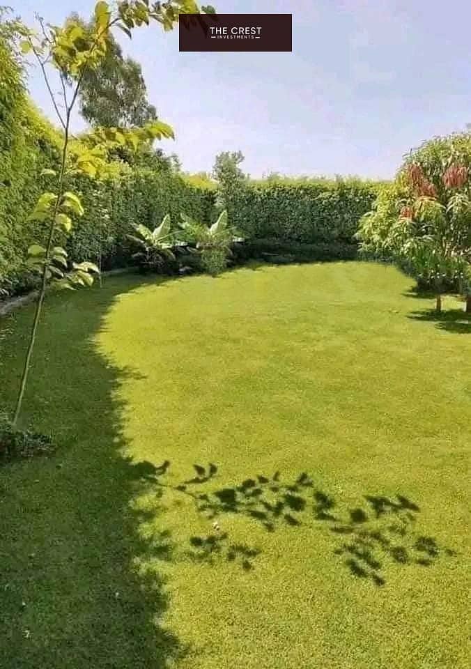 8 540687072_122198035190321488_7551046458623659699_n. jpg