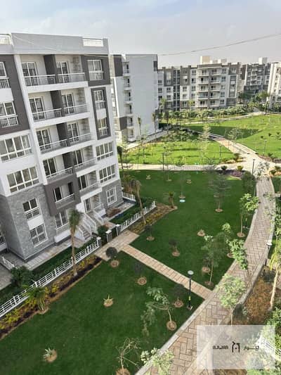 3 Bedroom Flat for Sale in Madinaty, Cairo - WhatsApp Image 2025-09-18 at 12.28. 36 PM. jpeg