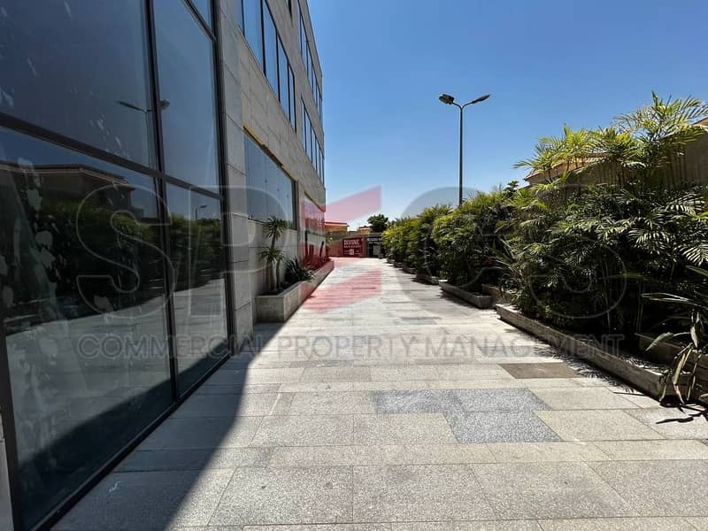 3 photo_5931636555364025449_y. jpg