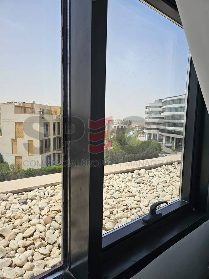 6 5965255566492289633. jpg