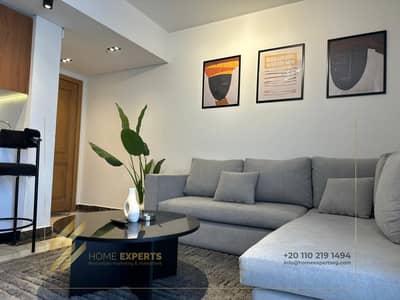2 Bedroom Flat for Rent in New Cairo, Cairo - 1bb8cfe8-19b9-4179-a015-b1d39c56c75c. jpg
