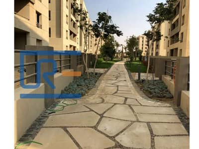 2 Bedroom Flat for Rent in New Cairo, Cairo - 7360ddd5327e049c3b3f2d52445350ae. jpg