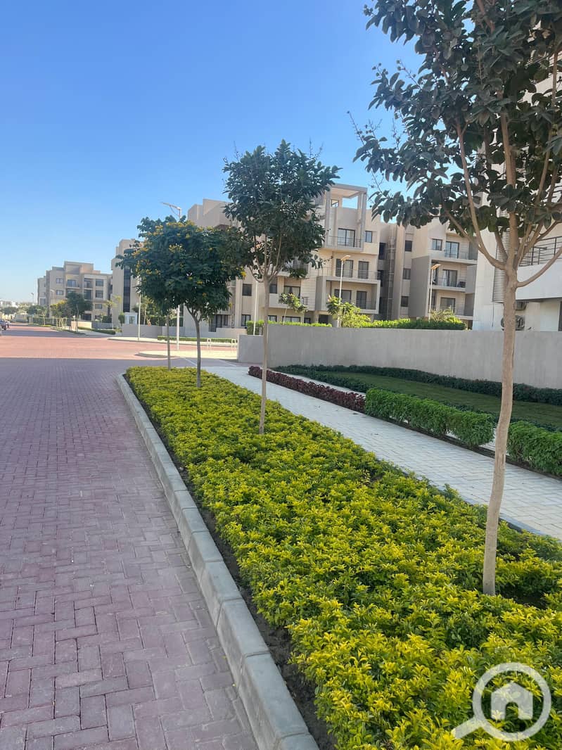 3 WhatsApp Image 2025-07-30 at 4.07. 43 PM. jpeg