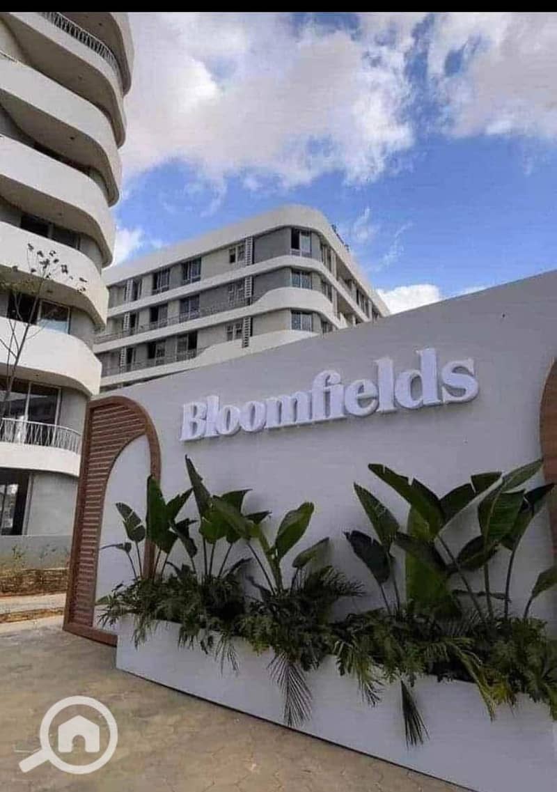 3 WhatsApp Image 2025-08-21 at 2.57. 37 PM. jpeg