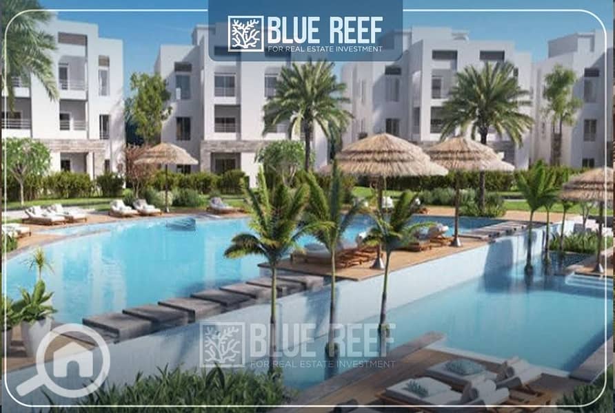 4 WhatsApp Image 2025-05-05 at 12.20. 44 PM (2). jpeg