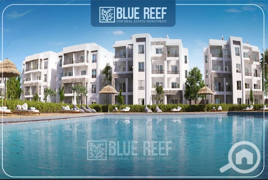 5 WhatsApp Image 2025-05-05 at 12.20. 39 PM (1). jpeg