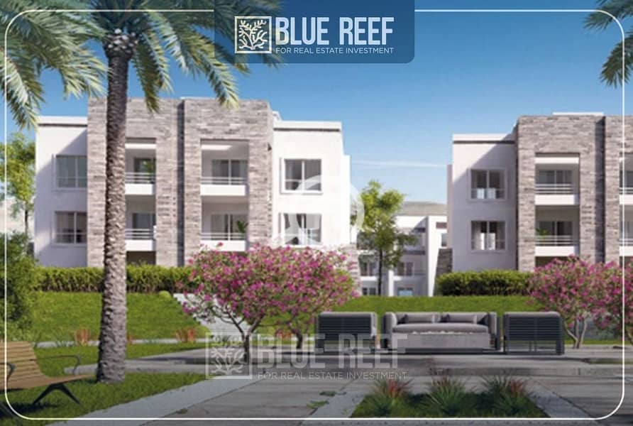 6 WhatsApp Image 2025-05-05 at 12.20. 39 PM (2). jpeg