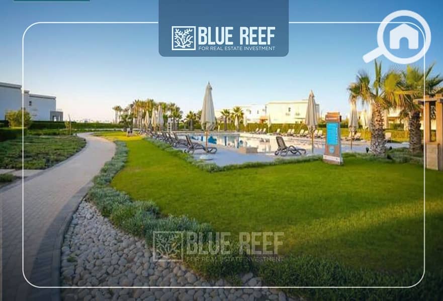 10 يقفقثف. jpg