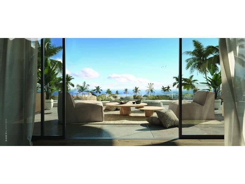 3 Naos Brochure_Page_13. jpg