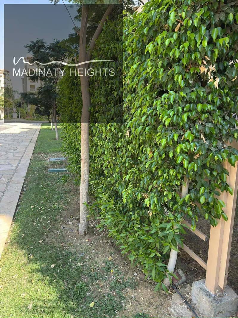 4 7f15970a-d196-4e02-b097-a3d94502ac5c. jpg