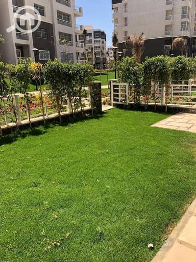 3 Bedroom Apartment for Sale in Madinaty, Cairo - WhatsApp Image 2025-10-04 at 6.10. 12 PM (16). jpeg