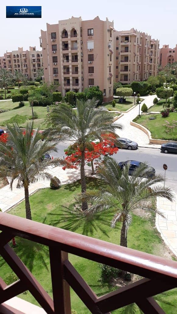 9 WhatsApp Image 2025-10-05 at 15.45. 21_41cd17d2. jpg