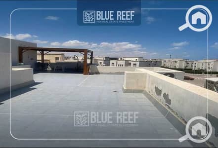 شاليه 2 غرفة نوم للبيع في الساحل الشمالي، مطروح - QUqFqJ0QSlidhykCYgz0SwnCornY45v3gPecB8gq. jpeg