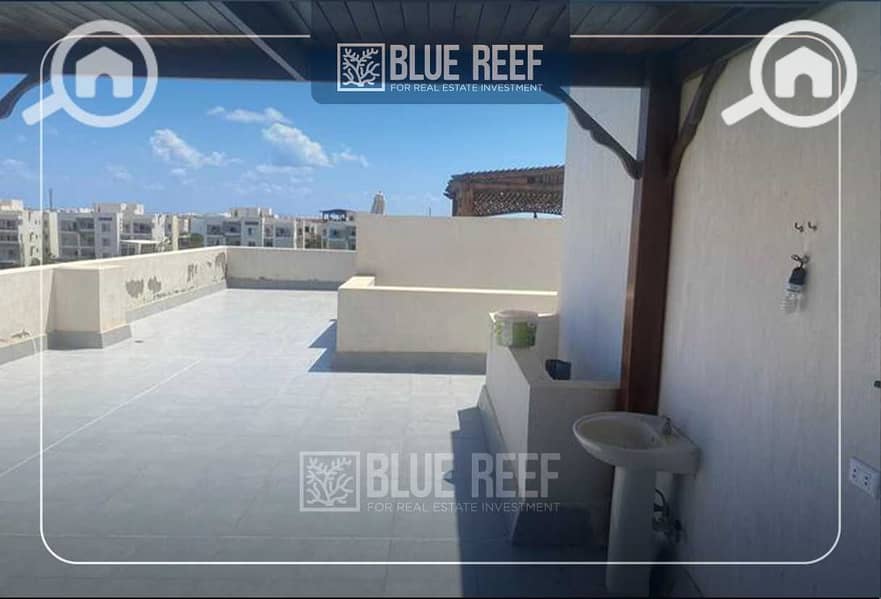 2 4iqHEyYv4ZipLKQJ9xM8RHcpi1ACu50EN1NYPak9. jpeg