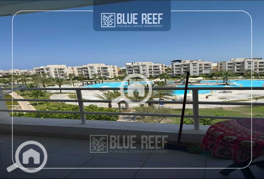 3 qgz4YI2PCBmMoefQHYVBn8Xiq3cnO2wvsEdB1SwE. jpeg