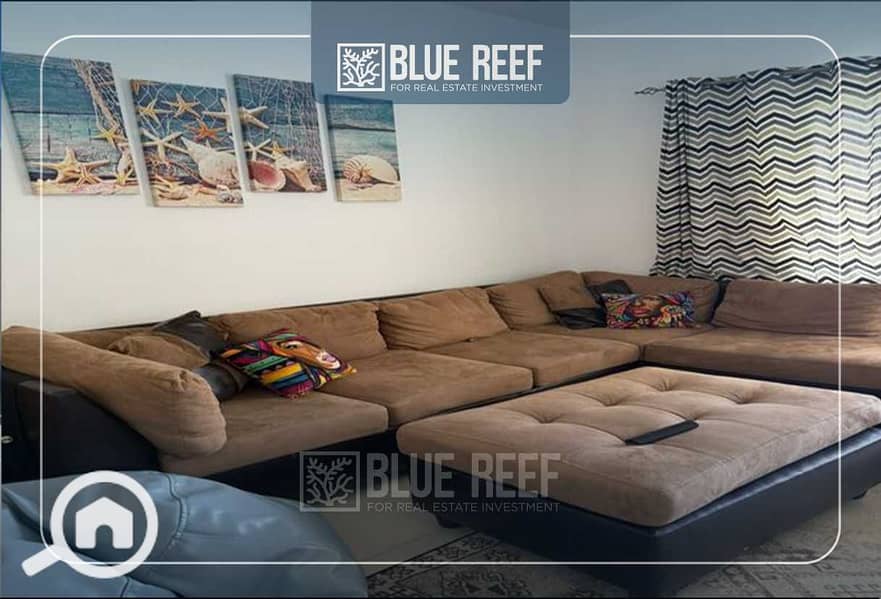 8 YTMsdtxlRQa34RRY1wuRqMtvYqJ90rc06XEByAwM. jpeg