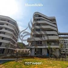 7 bloom fields4. jpg