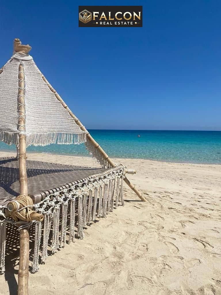 4 WhatsApp Image 2025-08-21 at 15.04. 11_a4ccab17. jpg