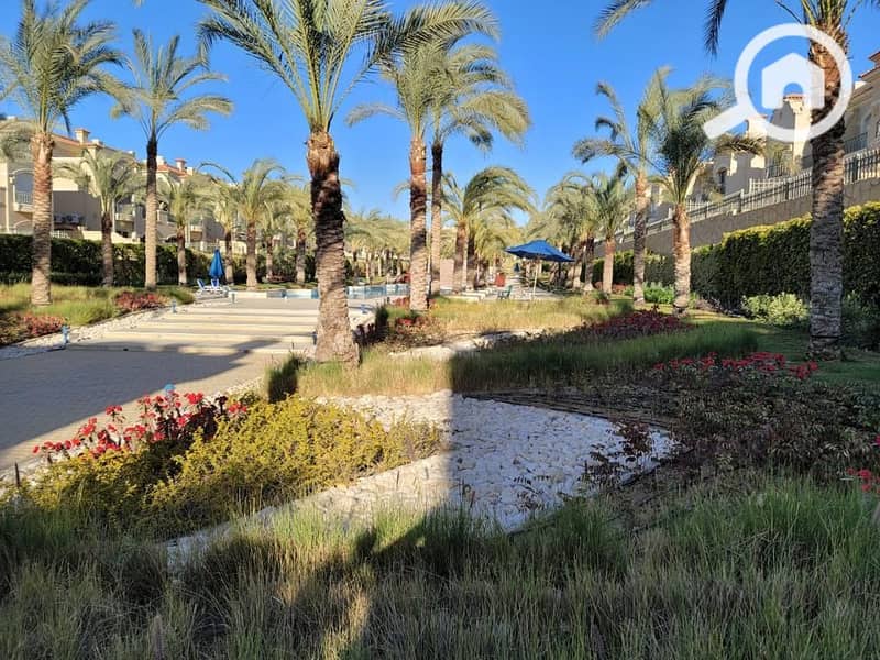 12 bf3de929-89ff-4f9c-8b41-1787184ddade. jpg