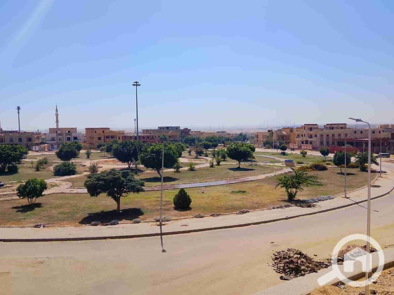 8 19522. jpg