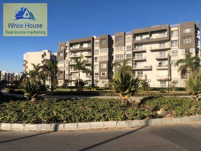 3 Bedroom Flat for Sale in Madinaty, Cairo - WhatsApp Image 2025-10-02 at 10.03. 28 AM. jpeg