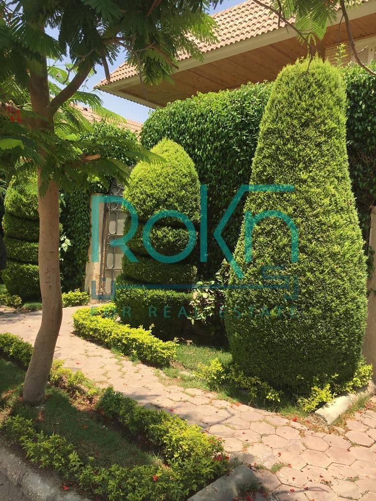 4 WhatsApp Image 2025-08-25 at 2.00. 14 PM. jpeg