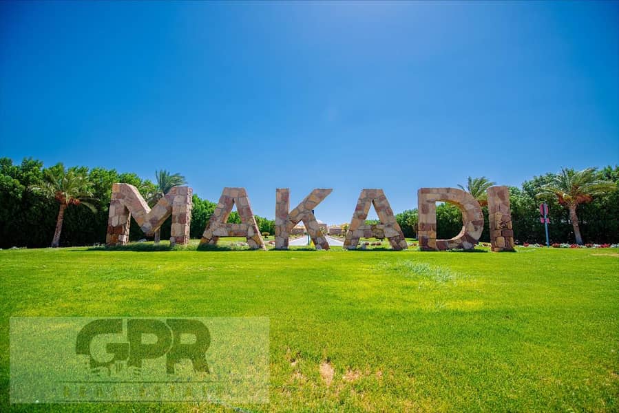 4 1c31306f-3e97-4f9b-9807-799abe4d6345. jpeg