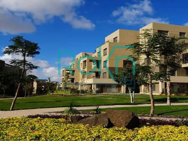 5 palm-park-1667480801_2. jpg