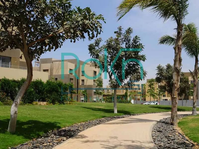6 palm-park-1667480804. jpg