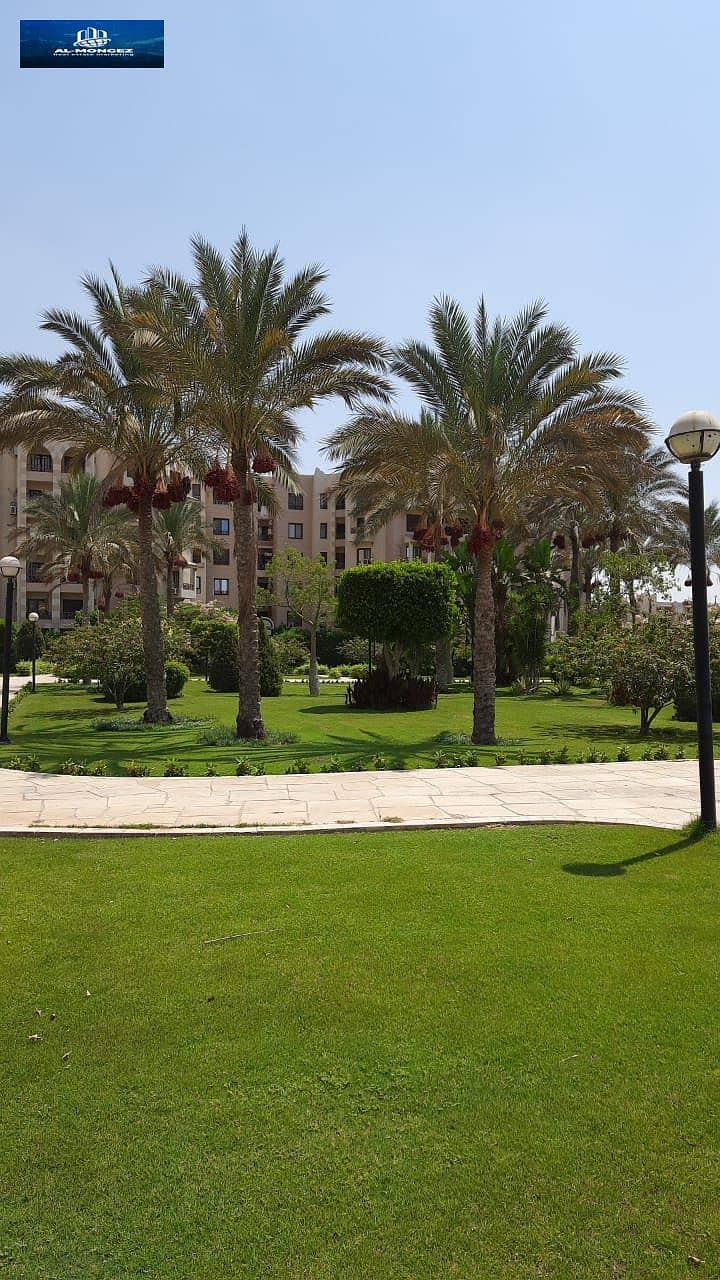 7 صورة واتساب بتاريخ 1447-04-13 في 16.49. 03_c4269863. jpg
