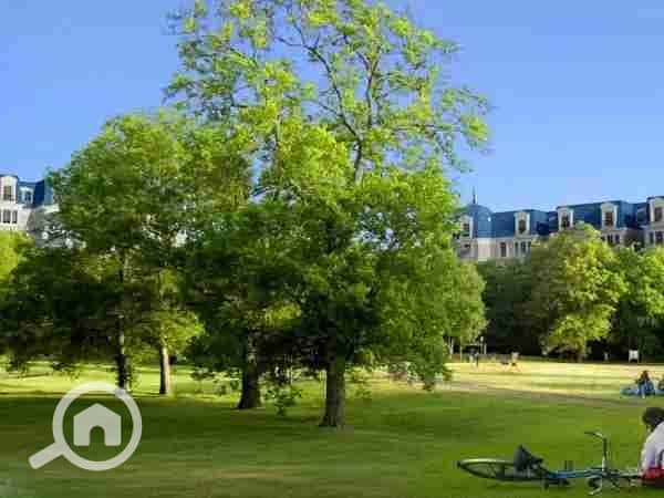 8 1000001364. webp