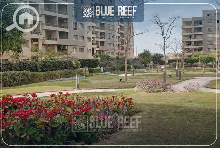 10 يبلغاعتهنخم. jpg