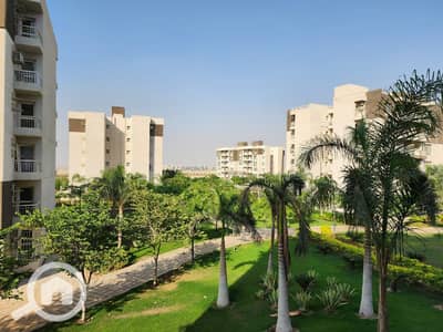 3 Bedroom Apartment for Rent in Madinaty, Cairo - e064d3e3-efcf-45ab-bb76-0fe6d117ec94. jpg