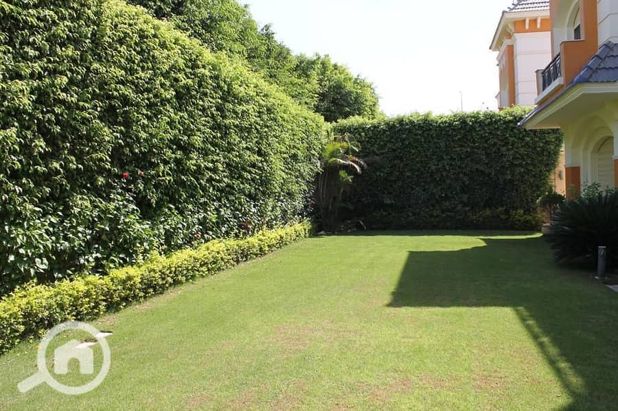 7 WhatsApp Image 2025-10-05 at 17.28. 17_02544ece. jpg