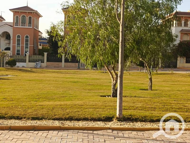 13 WhatsApp Image 2025-10-05 at 17.28. 18_bbbe9a6e. jpg